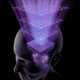 Illustration for article titled Take the ultimate intelligence test